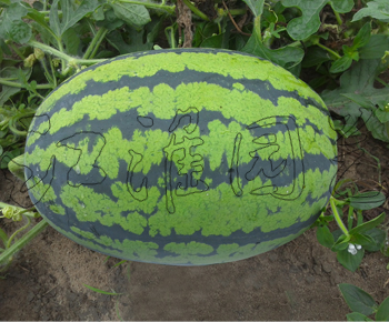 菁华