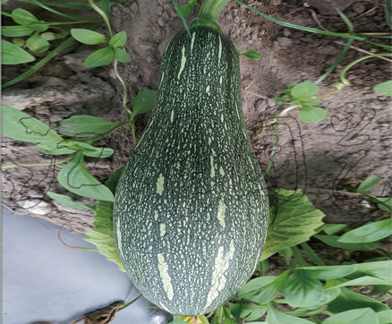 成功103