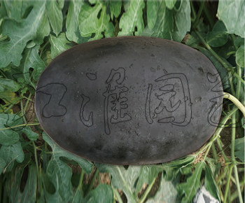 墨美6号