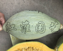 香贵妃