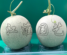 翠蜜4号